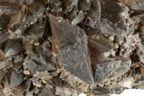 Beam Calcite Crystal Cluster with Phantoms - Morocco #203374-3